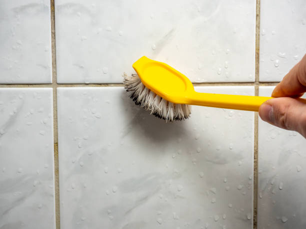 Best Certified Mold Removal  in Chlicothe, IL